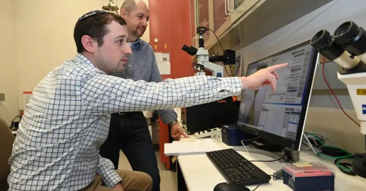 Material created using glass and DNA which is FOUR times stronger than steel