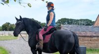 A rider fitness specialist built a thriving business after a life changing fall inspiring her to create RiderCise to help horse riders regain strength confidence and control in the saddle.